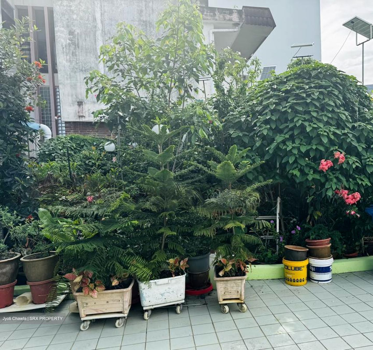 Telok Kurau Road (D15), Semi-Detached #535144131
